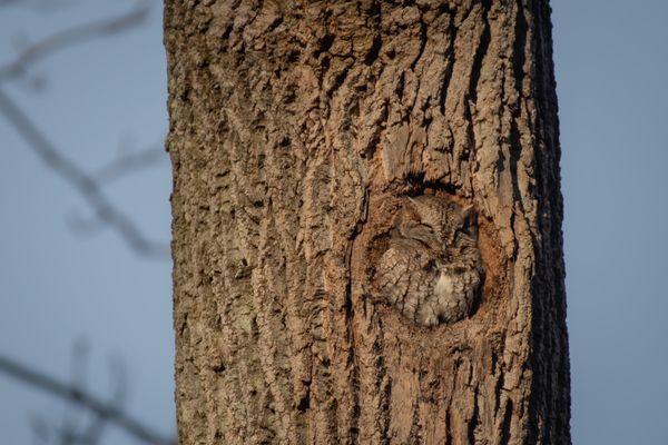 Garret Mountain Reservation