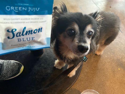 One of the nice healthy treats I got for my baby at this nice local pet store