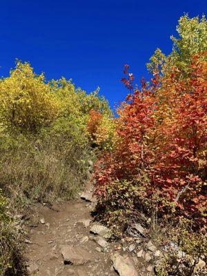 Stewart Falls Trailhead