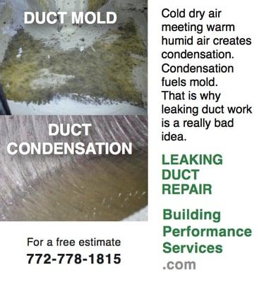 Mold is very unhealthy and should be taken seriously. Sometimes your AC contractor must replace ducts to solve the mold problem.