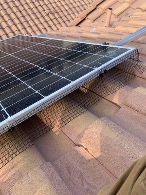 25 poundsof  in just one yr.  and a flock of   well that's 2,500 pounds of NASTY  I