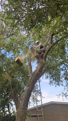 Nick's Tree Service