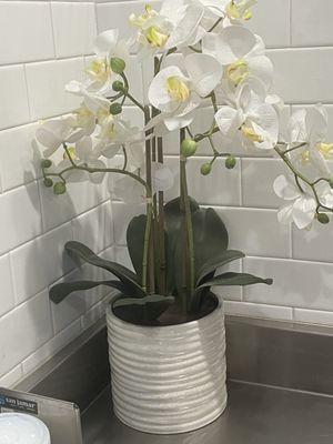 The Buffalo Spot - Glendora