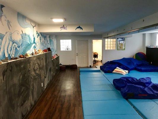 Main gym/clinic playroom