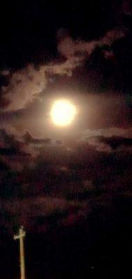 Enchanted Intentions