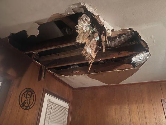 Topher’s Renovation Nation