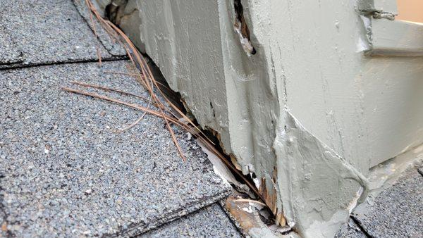 LIME Painting of Atlanta