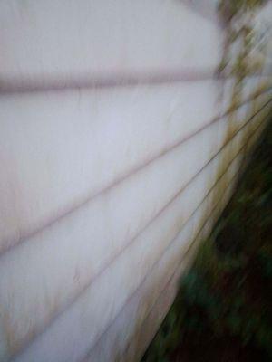 Two brothers painting and Pressure Washing