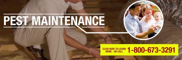 Cox Pest Control Management