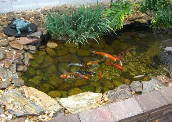 Conway Lawn and Landscape - Orlando, FL