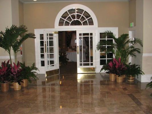 Island Foliage and Design