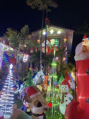 Christmas Lane - Ewa Gentry