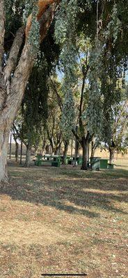 Shaded picnic table area