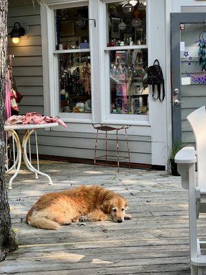 Carolina Moon Gallery