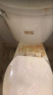 Terri's Cleaning Services