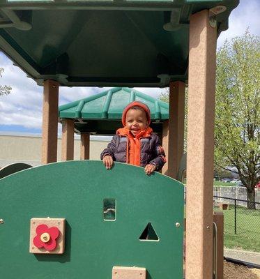 The Gardner School of Powell