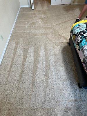 Gate City Carpet Cleaning