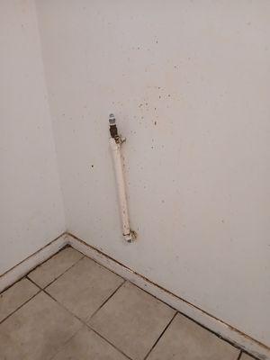 Eddrina Housekeeping