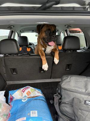 Pebble Creek Kennels by the Lake