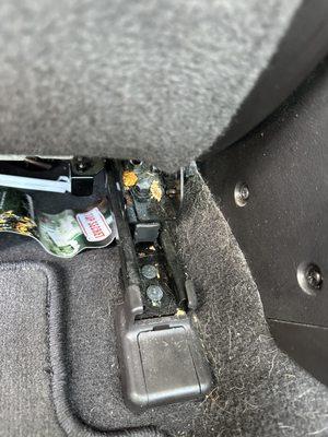 Dejaron basura debajo de los asientos