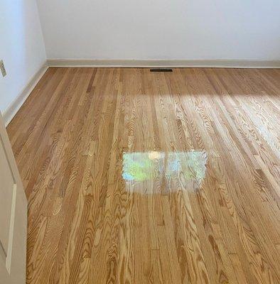 Sanders Flooring Solutions