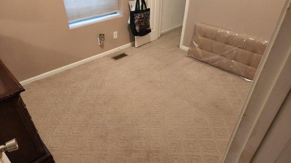 Chicago Carpet Revival