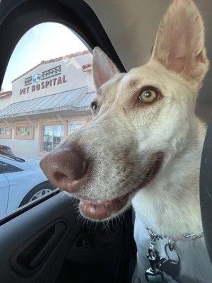 Bay Cities Pet Hospital