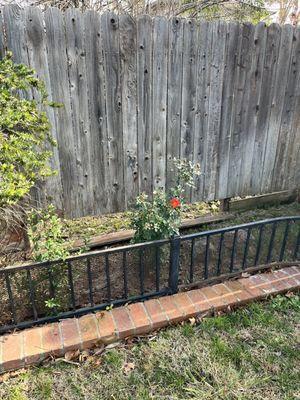 RXA Tree Service and Fencing Inc.