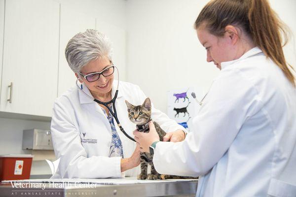 Kansas State University Veterinary Health Center