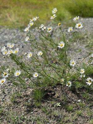 Ranch House Lodge & RV Camping