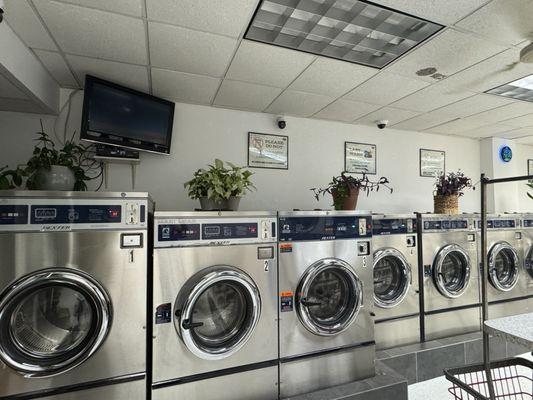 Mineola Laundry