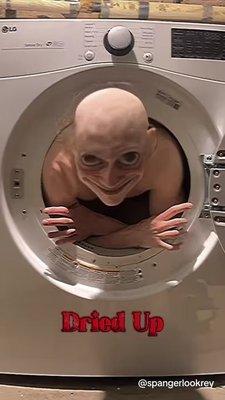 uhh they voted for TROMP i think