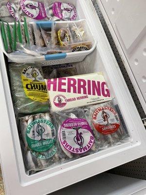 Reel Them In Bait And Tackle