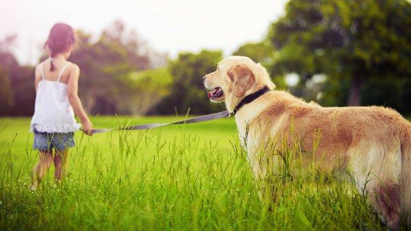 Blue Green Lawn Care