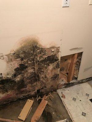SERVPRO of Pottsville