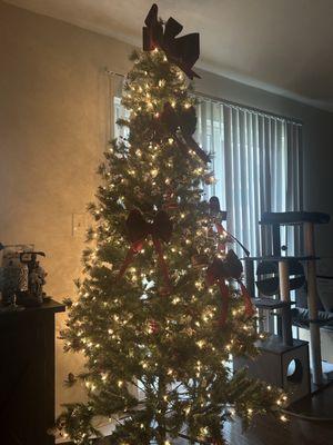 Amato's Garden Center