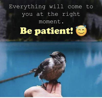 Patience