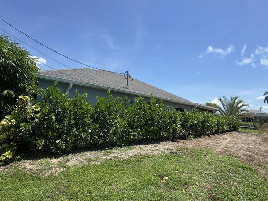 La MV Lawn Care Services