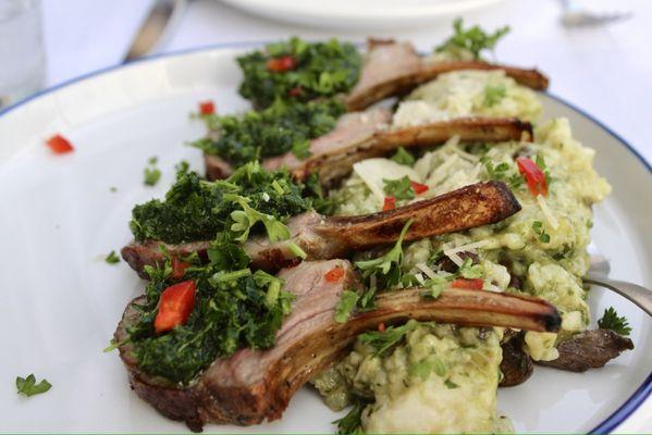 Lamb Lollipops