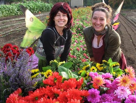 Our Flower Fairies!