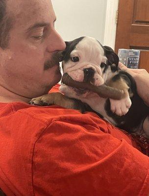 Mountainstone Veterinary Hospital