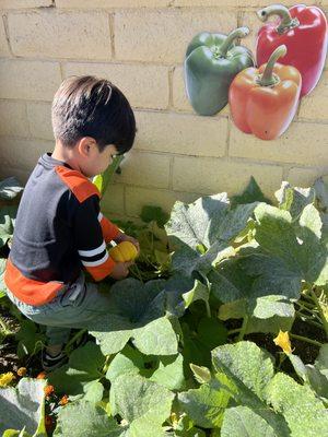 Sierra Preschool & After School