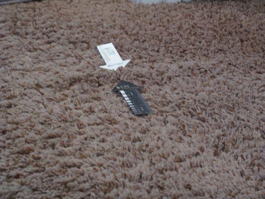 Moore Certified Services