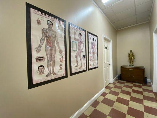 Calling Acupuncture Clinic