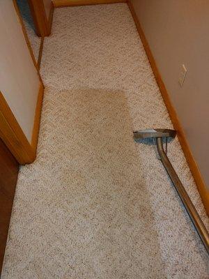 BearFoot Carpet Cleaning