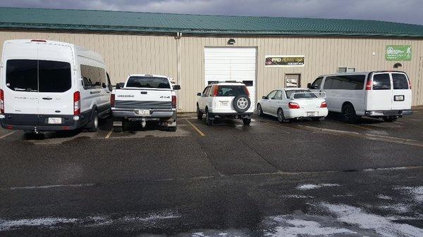 Pro Auto Tint