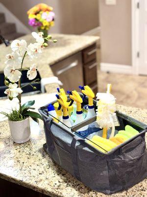 Everything Home + Backyard