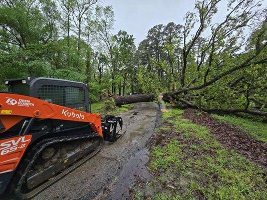 Reliable Tree Service