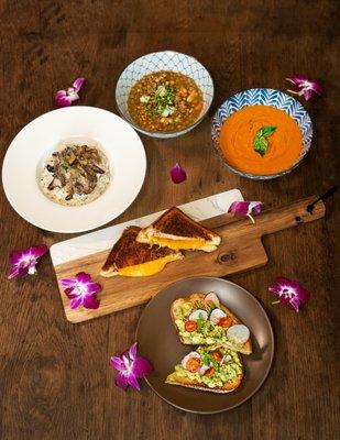 Savory New American cuisine