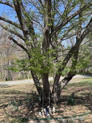 Norwoods Home and Lawn